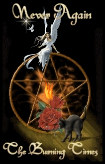 neveragaintheburningtimes.gif